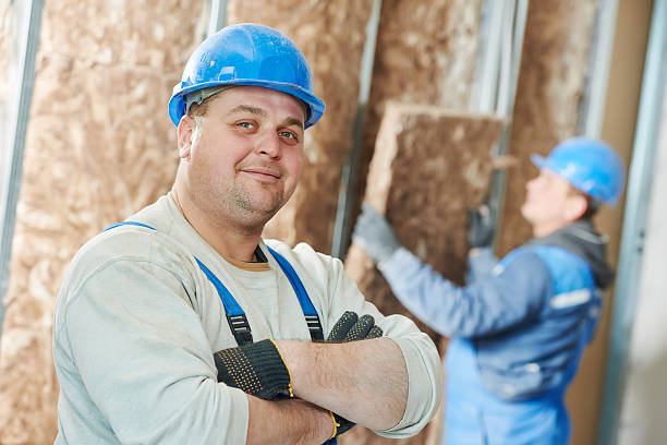 Best Insulation Maintenance and Repair in Excelsior, MN