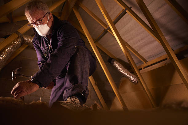 Best Insulation Materials and Products in Excelsior, MN