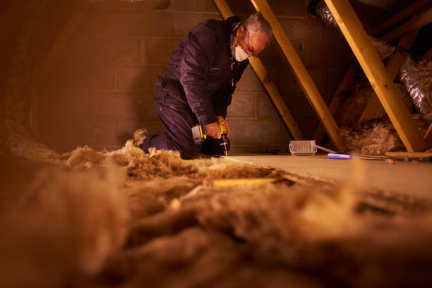 Best Types of Insulation in Excelsior, MN